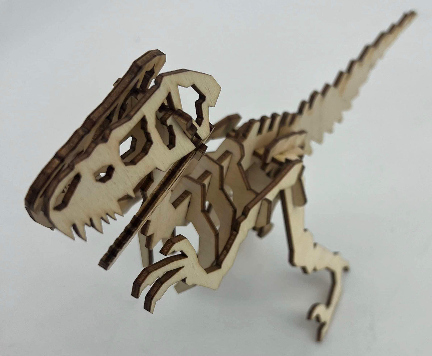 Unassembled Dinosaur Model