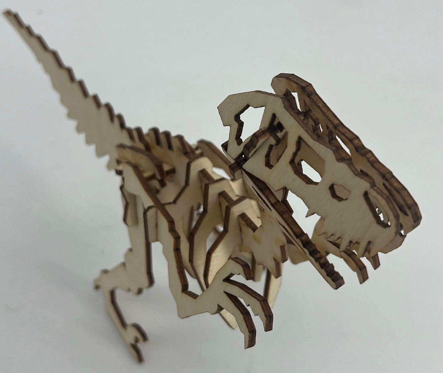 Unassembled Dinosaur Model